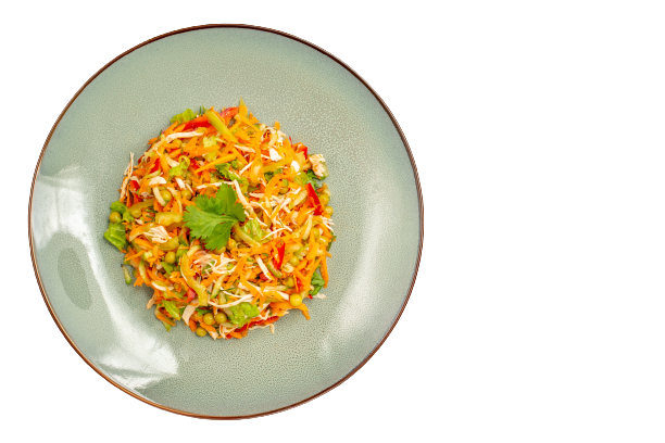 dish1